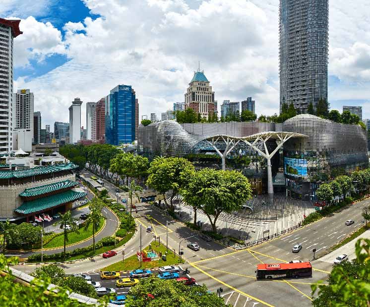 Orchard, SG