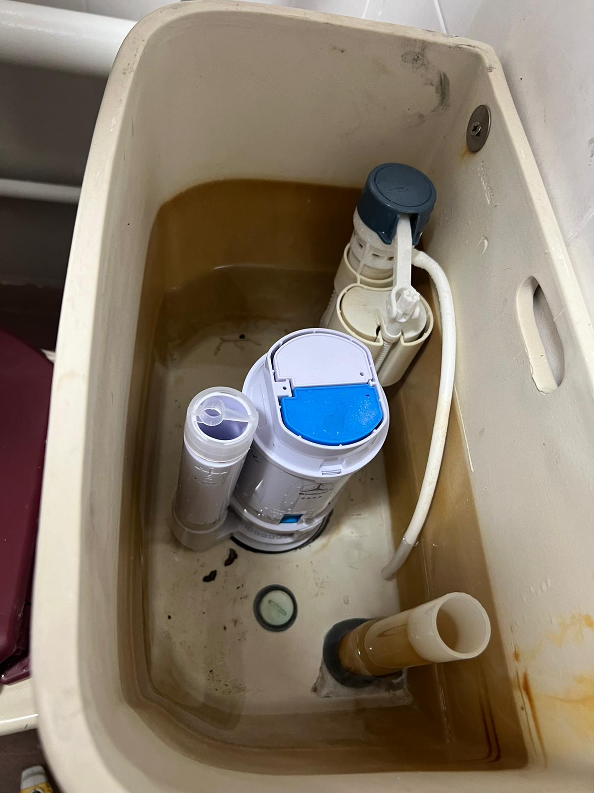 Toilet Flush System Repair and Replacement Service